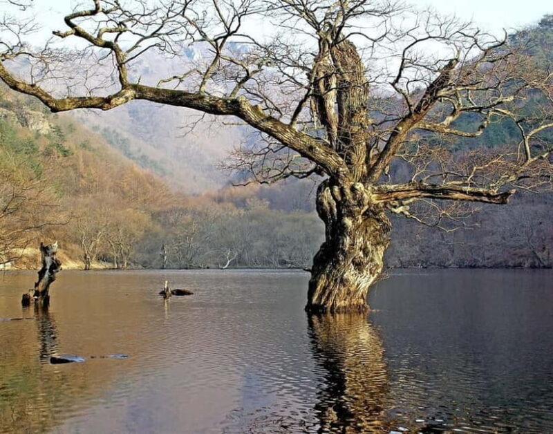 Cheongsong UNESCO GEO Park Hike From Andong - An Authentic Day of Nature, Culture, and Food
