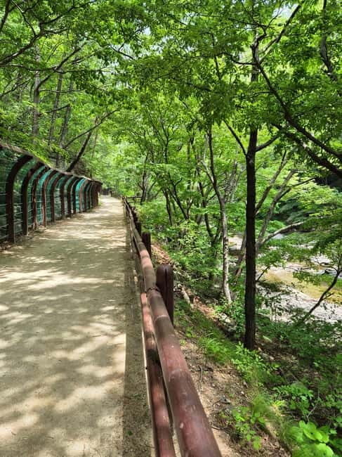 Cheongsong UNESCO GEO Park Hike From Andong - Why Choose This Tour?