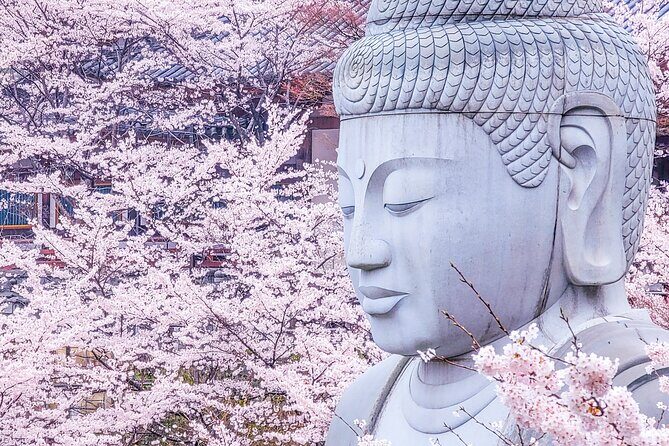 Cherry Blossom Buddha and Mt.Yoshino with Strawberry Picking Tour - A Complete Look at the Tour: What to Expect
