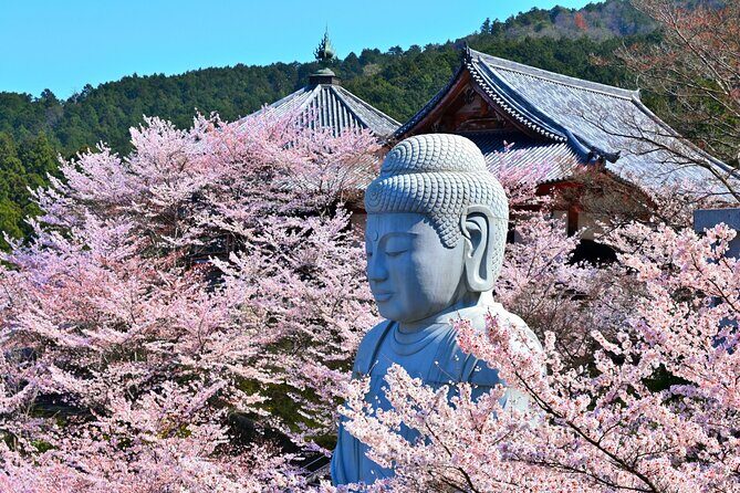 Cherry Blossom Buddha and Mt.Yoshino with Strawberry Picking Tour - What’s Included and What’s Not
