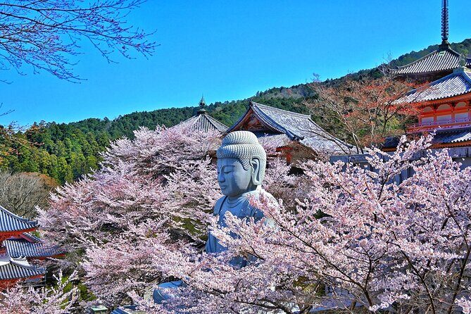 Cherry Blossom Buddha and Mt.Yoshino with Strawberry Picking Tour - Who Should Consider This Tour?