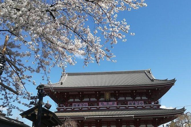 Cherry Blossom highlights, Asakusa, Ueno, Imperial Palace Garden - Ameya Yokocho — An Authentic Bustling Market