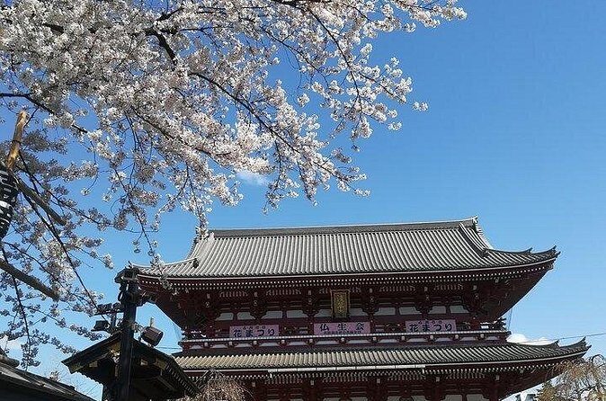 Cherry Blossom highlights, Asakusa, Ueno, Imperial Palace Garden - What Travelers Say