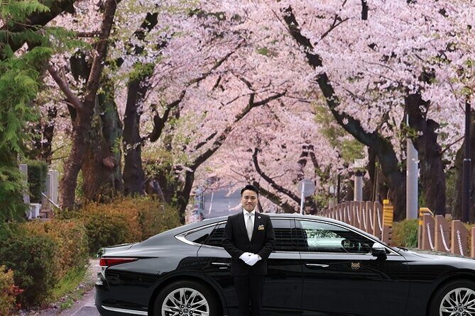 Cherry Blossom Private Tour - Key Points