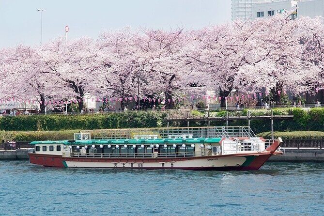 Cherry Blossom Sightseeing River Boat Experience - Who Should Consider This Cruise?