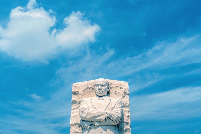 Cherry Blossoms, City Tour, Seasonal Cruise, Optional Tickets - The Sum Up