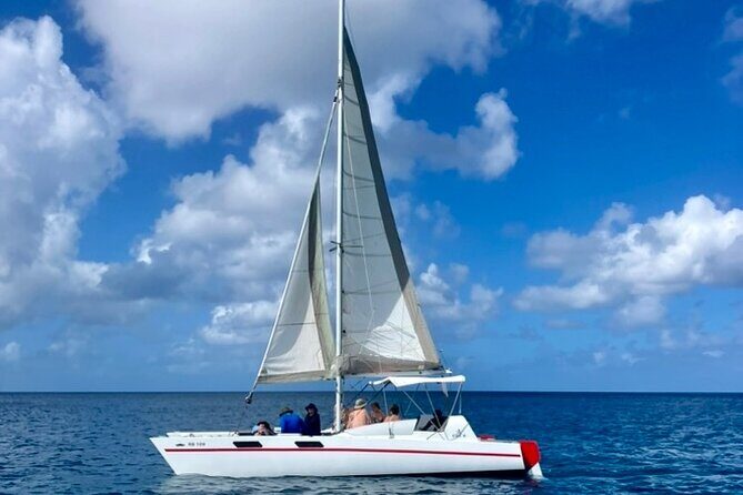 Ches snorkel cruise! turtles & shipwrecks (semi private) - FAQ