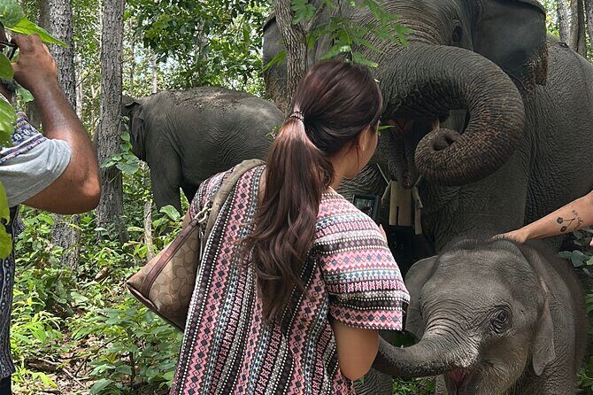 Chiang Mai 1 Day: Elephant Sanctuary, Waterfall & Bamboo Rafting - Frequently Asked Questions