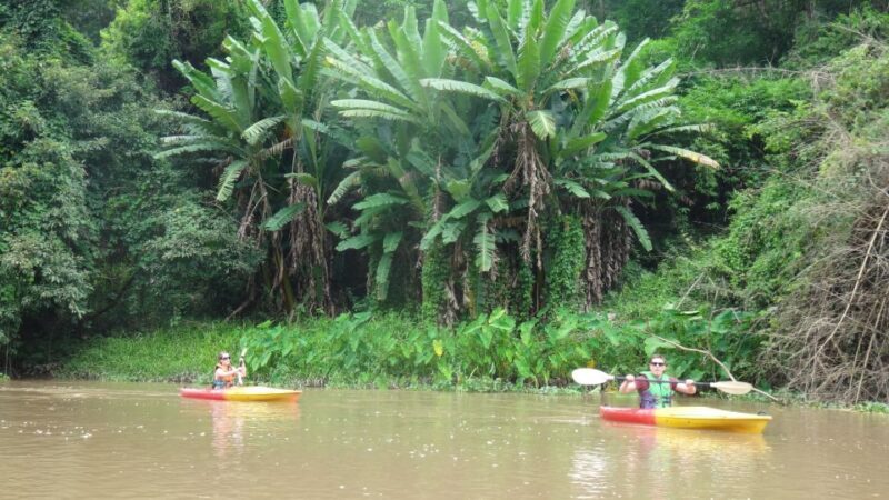 Chiang Mai: 15 km Leisure River Kayaking at Mae Ngat forest - Key Points