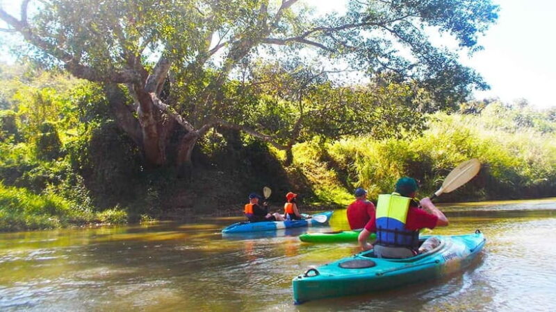 Chiang Mai: 15 km Leisure River Kayaking at Mae Ngat forest - Lunch and Relaxation