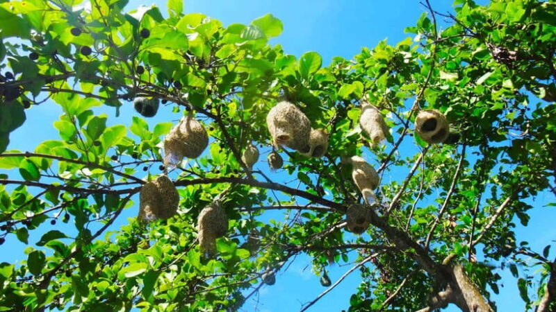 Chiang Mai: 15 km Leisure River Kayaking at Mae Ngat forest - What Sets This Tour Apart