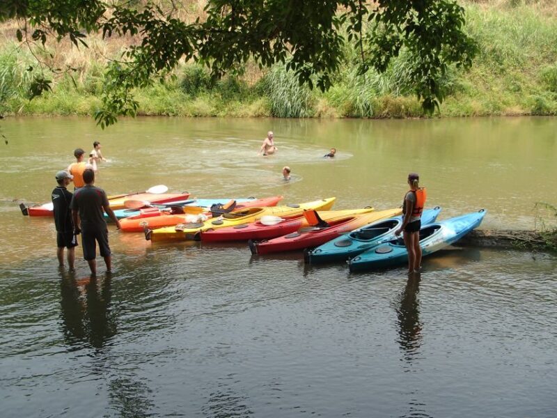 Chiang Mai: 15 km Leisure River Kayaking at Mae Ngat forest - Who Will Love This Experience?