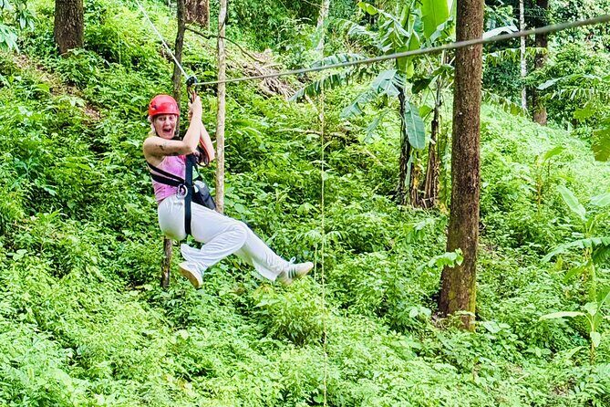 Chiang Mai 3 in 1 Zipline, Elephants and Sticky Waterfall - A Closer Look at the Itinerary