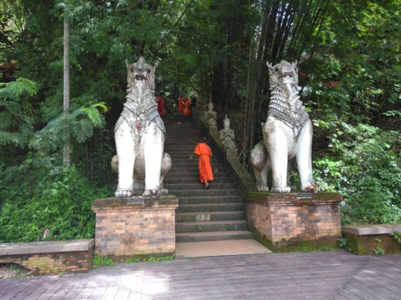 Chiang Mai: 7-Hour Doi Suthep National Park Summit Hiking - An In-Depth Look at the Doi Suthep Summit Hike