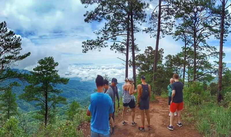Chiang Mai: 7-Hour Doi Suthep National Park Summit Hiking - Final Thoughts