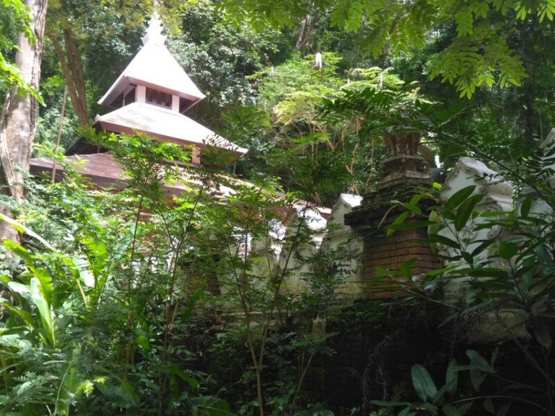 Chiang Mai: 7-Hour Doi Suthep National Park Summit Hiking - FAQ
