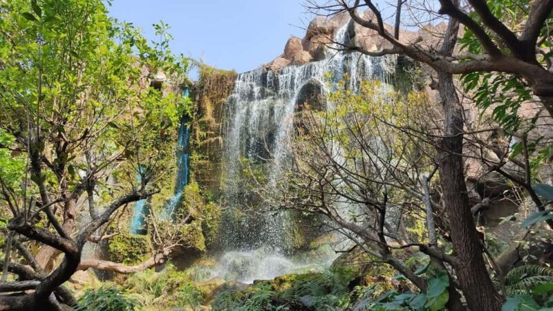 Chiang Mai: Angel Waterfall & Sticky Waterfall & Wat Ban Den - An In-Depth Look at the Tour Experience