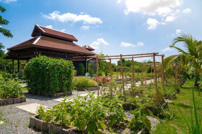 Chiang Mai: Authentic Cooking Class with Market & Farm Visit - Who Should Consider This Tour?