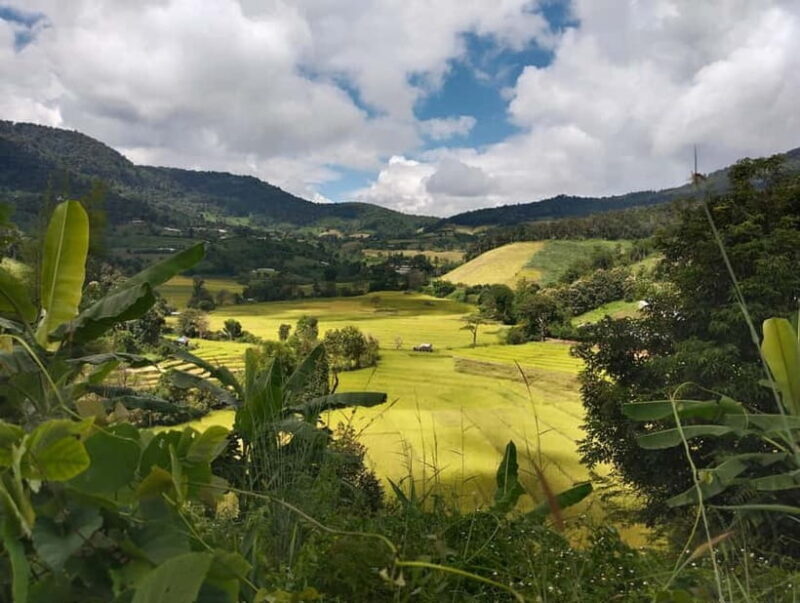 Chiang Mai Authentic Trekking - Why This Trek Stands Out
