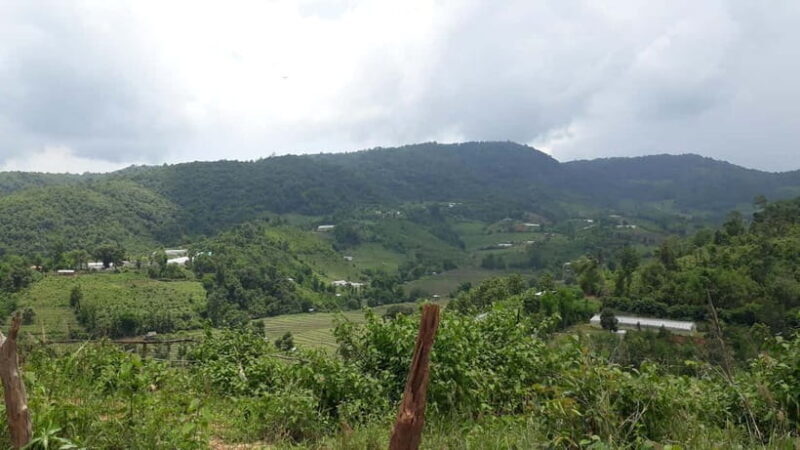 Chiang Mai Authentic Trekking - Summary: Who Should Consider This Tour?