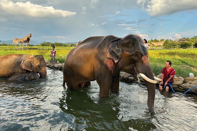 Chiang Mai Chapulin Elephant Care and Sticky Waterfall - FAQs