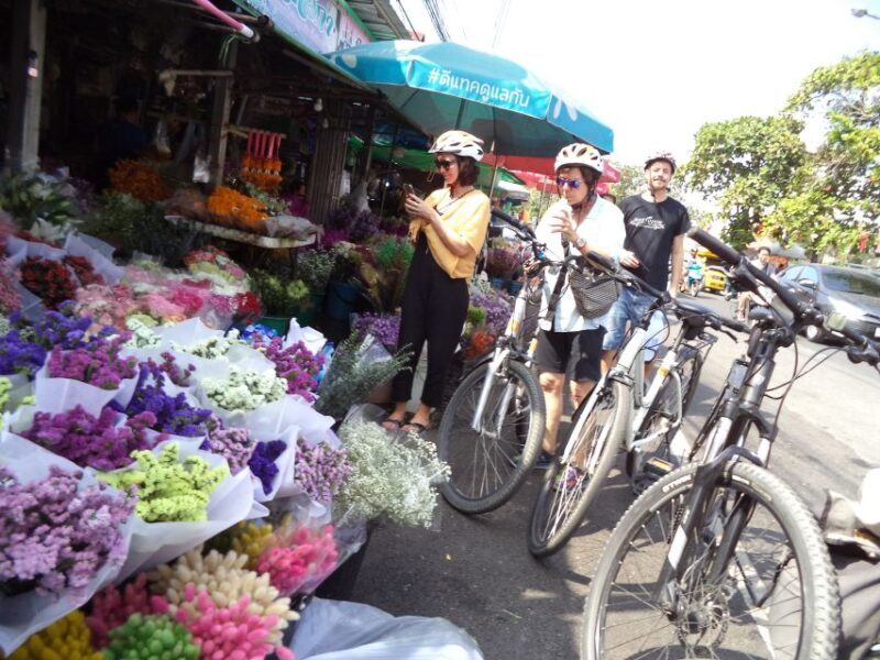 Chiang Mai City Culture Bicycle Ride - What to Expect on the Chiang Mai City Culture Bicycle Ride