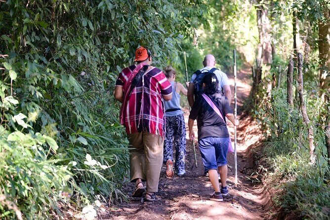 Chiang Mai Coffee Tour: Trekking to Farm, Roast and Brew Workshop - The Full Guide to the Chiang Mai Coffee Tour
