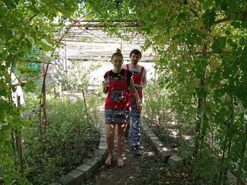 Chiang Mai: Cooking Class, Market & Thai Herbs Garden Tour - Exploring the Details of the Tour