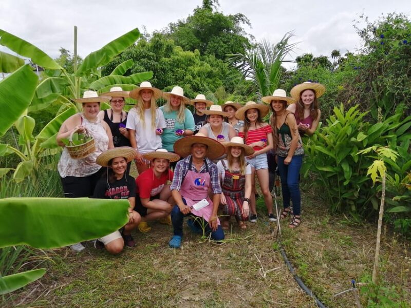 Chiang Mai: Cooking in Organic Farm with a Local Train Trip - The Bottom Line: Value and Authenticity in One Package