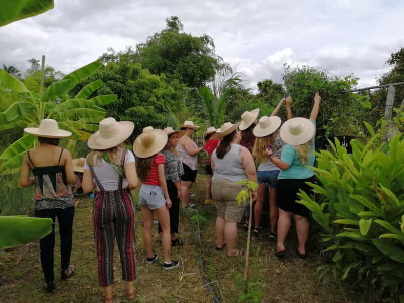 Chiang Mai: Cooking in Organic Farm with a Local Train Trip - FAQ