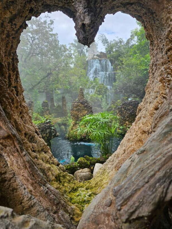 Chiang Mai: Dantewada Land of Angels & Sticky Waterfall Tour - An In-Depth Look at the Tour Experience