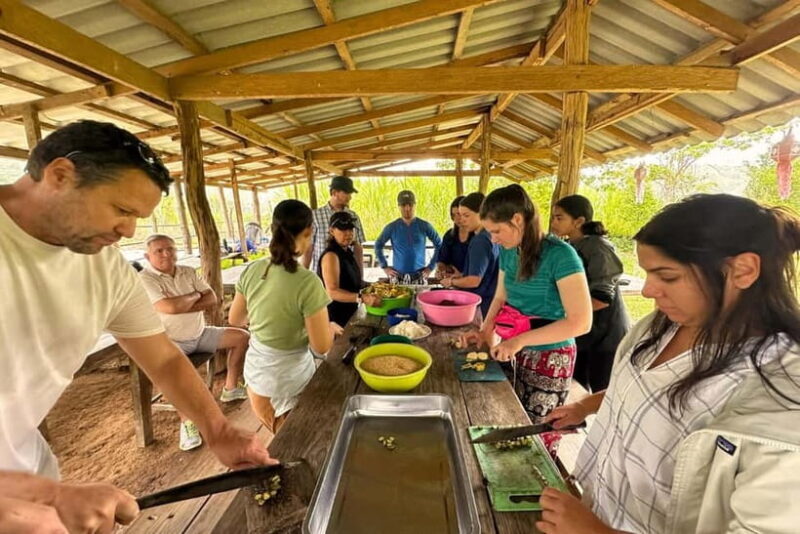 Chiang Mai: Day for Elephant Observation Only Half-day Trip - A Genuine Look at an Ethical Elephant Sanctuary near Doi Inthanon