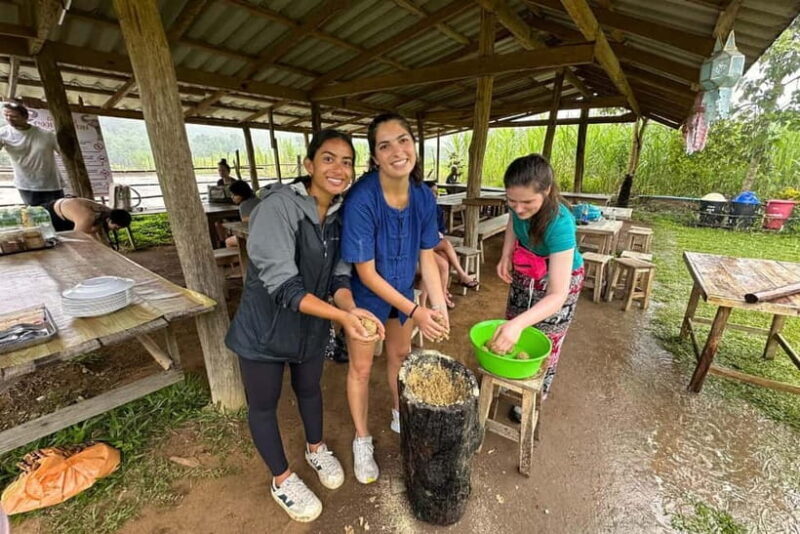 Chiang Mai: Day for Elephant Observation Only Half-day Trip - Authenticity and Conservation at the Forefront