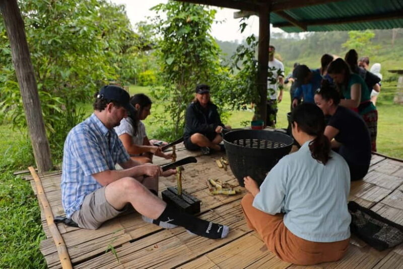 Chiang Mai: Day for Elephant Observation Only Half-day Trip - Final Thoughts: Who Will Love This Tour?