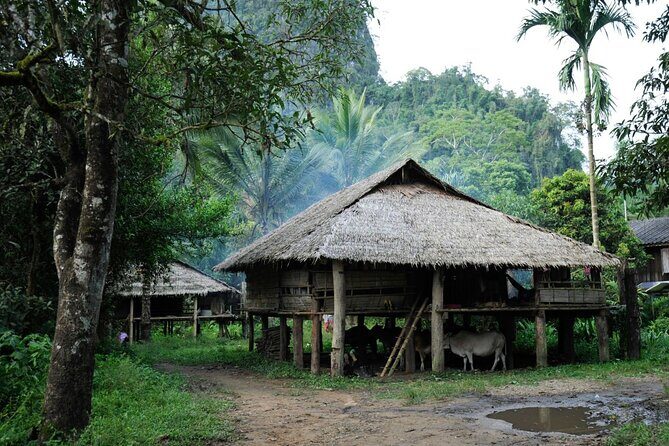 Chiang Mai Day Tour: Chiang Dao Cave and Hill Tribes - The Sum Up: Who Will Love This Tour?