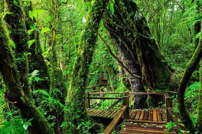 Chiang Mai - Doi Inthanon Full day Tour - FAQ