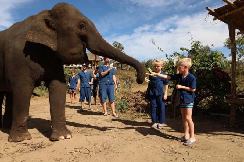 Chiang Mai: Doi Inthanon Hiking Tour & Elephant Care Program - An In-Depth Look at the Experience