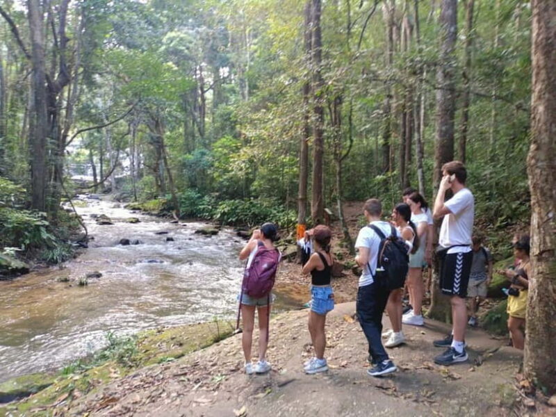 Chiang Mai: Doi Inthanon Hiking Tour & Elephant Care Program - FAQs