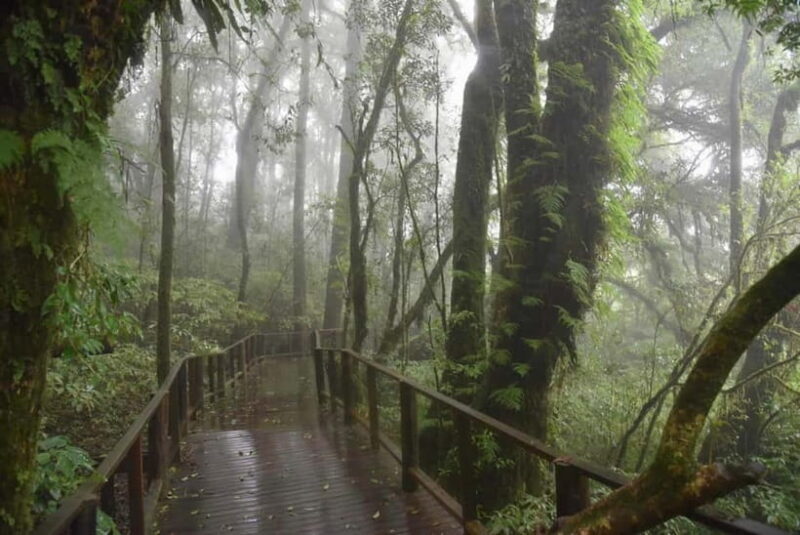 Chiang Mai: Doi Inthanon National Park and Kew Mae Pan Tour - Introduction: What to Expect from This Tour