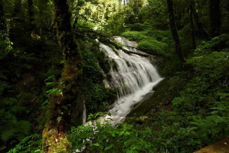 Chiang Mai: Doi Inthanon National Park and Kew Mae Pan Tour - What the Reviews Tell Us