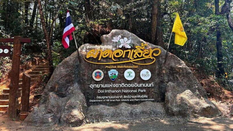 Chiang Mai: Doi Inthanon National Park and Pha Dok Siew Trek - Key Points