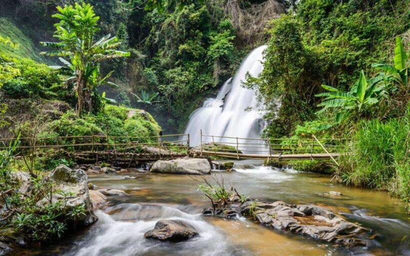 Chiang Mai: Doi Inthanon National Park and Pha Dok Siew Trek - A Deep Dive into the Doi Inthanon Adventure