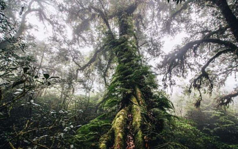 Chiang Mai: Doi Inthanon National Park Sightseeing Only - Who Will Love This Tour?