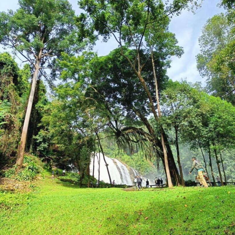 Chiang Mai: Doi Inthanon National Park & Waterfall Day Tour - Analyzing Value and Practicality