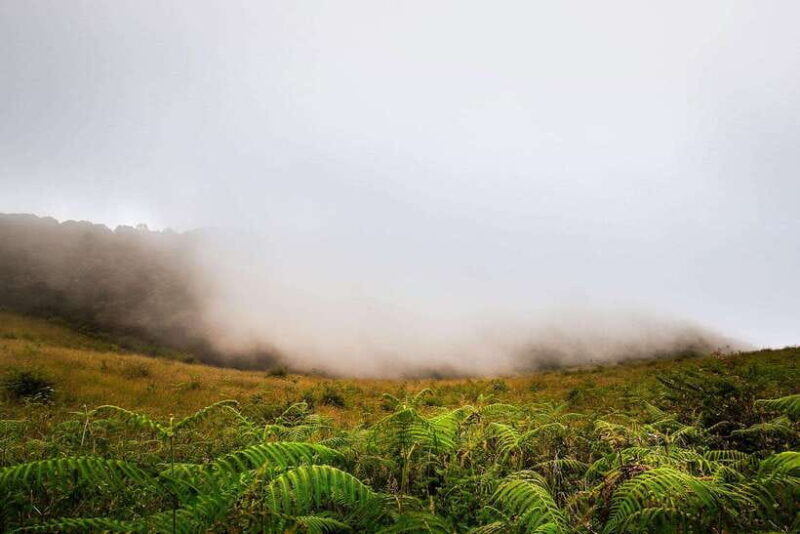 Chiang Mai: Doi Inthanon National Park, Waterfall & Lunch - Key Points