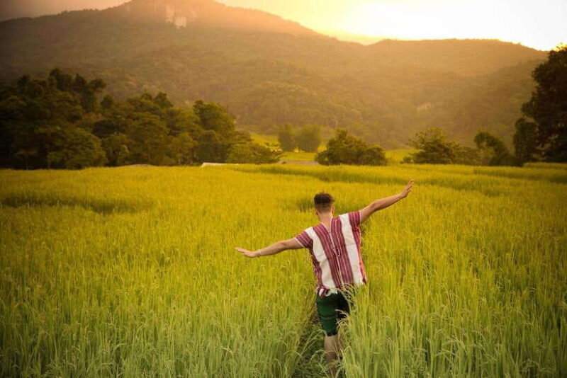 Chiang Mai: Doi Inthanon National Park, Waterfall & Lunch - Considerations Before Booking
