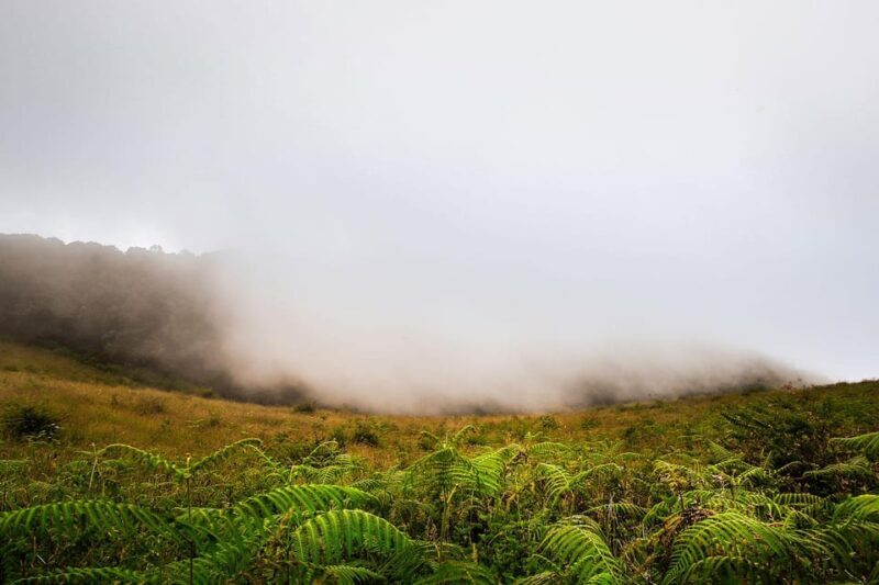 Chiang Mai: Doi Inthanon National Park, Waterfall & Lunch - The Sum Up