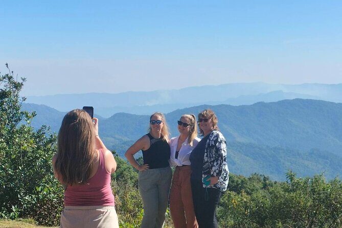 Chiang Mai: Doi Inthanon National Park, Waterfall & Royal Project - Who Is This Tour Best For?
