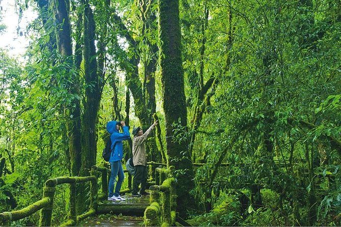 Chiang Mai: Doi Inthanon National Park, Waterfall & Royal Project - The Sum Up