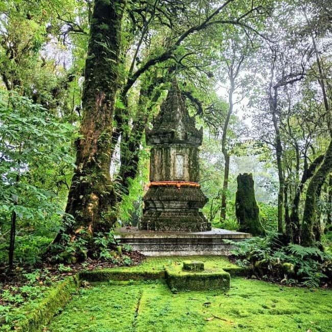 Chiang Mai: Doi Inthanon National Park+Trek Pha Dok Siew - An In-Depth Look at the Tour Experience